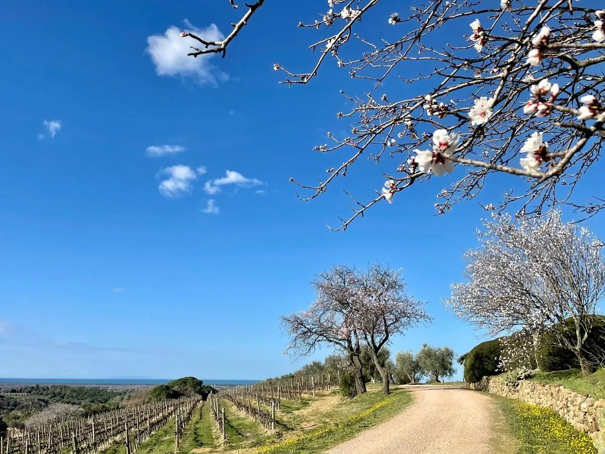 Casa Atelier - Aria Condizionata, Terrazzo, Parcheggio, Bolgheri By Toscanatour Holiday home