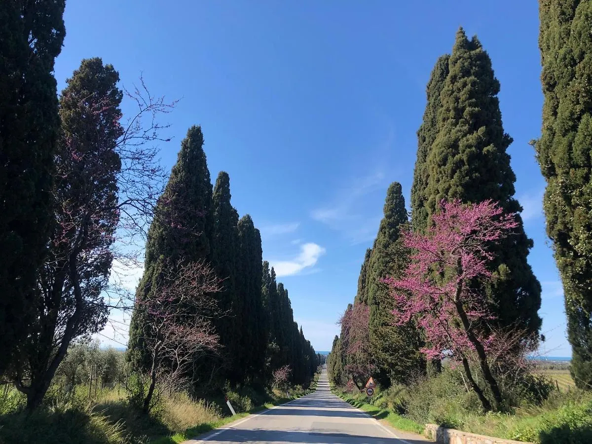 Holiday home Casa Atelier - Aria Condizionata, Terrazzo, Parcheggio, Bolgheri By Toscanatour